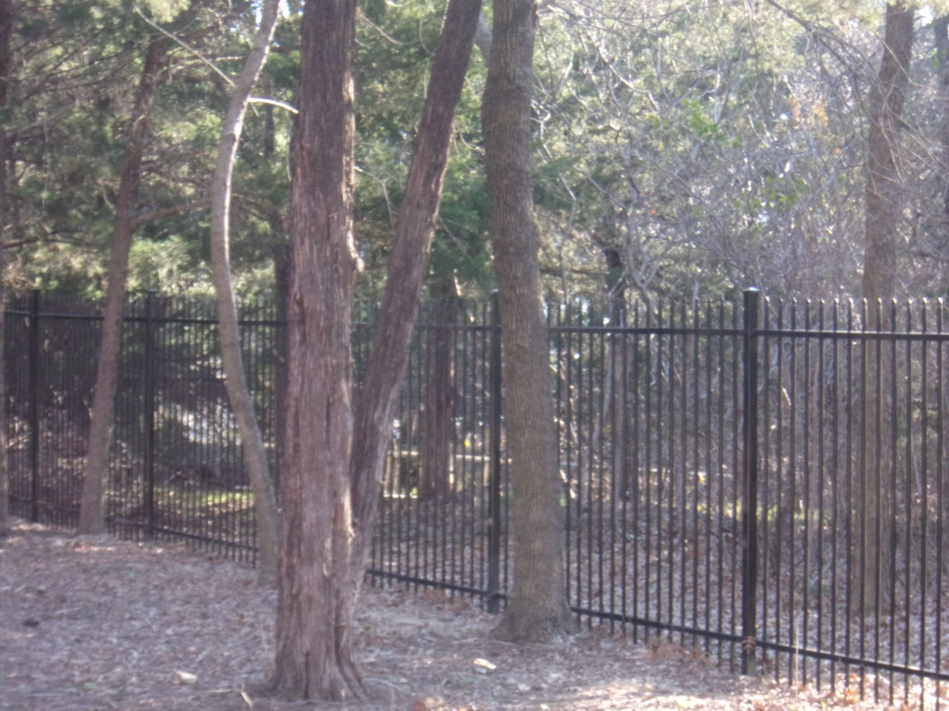 fence