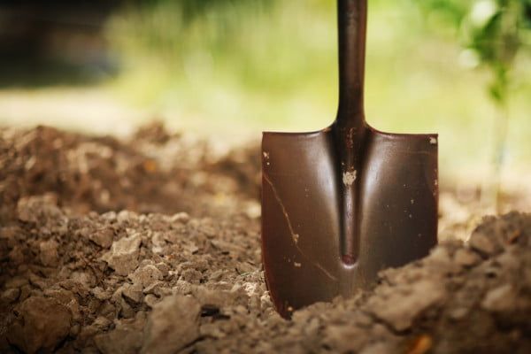 A shovel is sticking out of a pile of dirt.