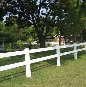 A white fence surrounds a grassy field with trees in the background.