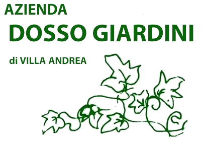 DOSSO GIARDINI di Villa Andrea