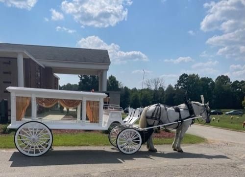 White horse-drawn hearse in front of a building, on a sunny day.