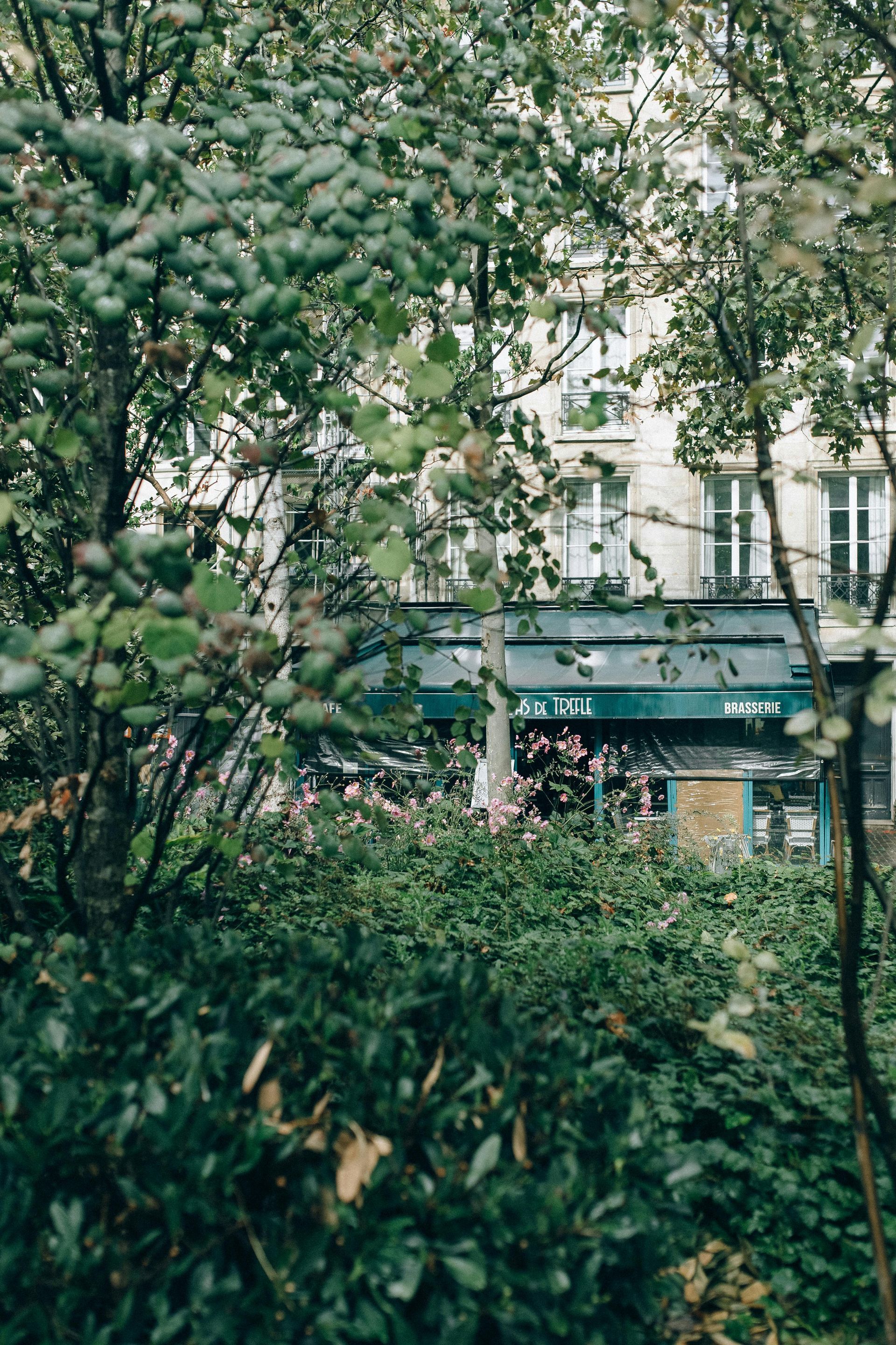 A building with a green awning is surrounded by trees and bushes.