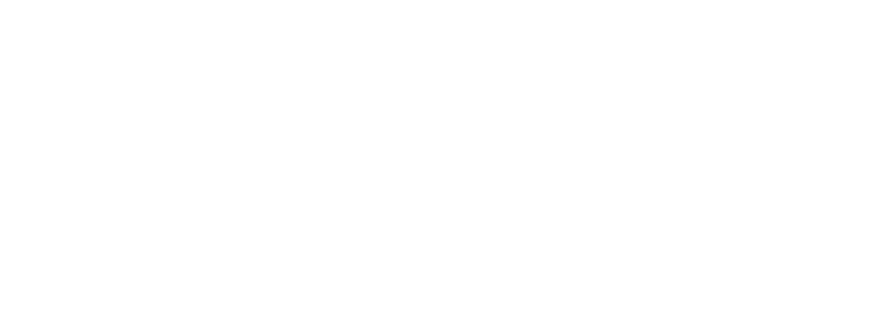 Levitate Mental Health Logo