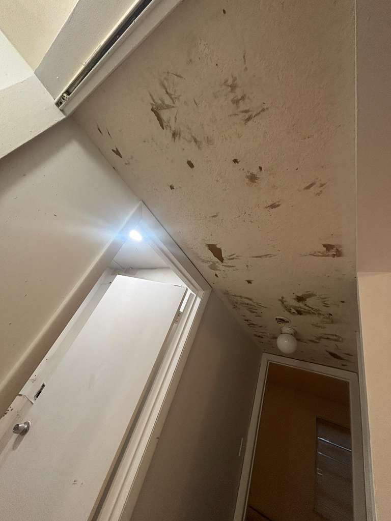 Ceiling with dark water stains and mold near a doorway in a hallway