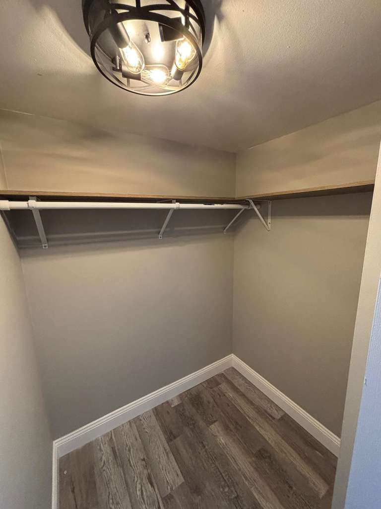 Empty walk-in closet with white walls, gray wood-look floor, wire hanging shelf, and ceiling light fixture