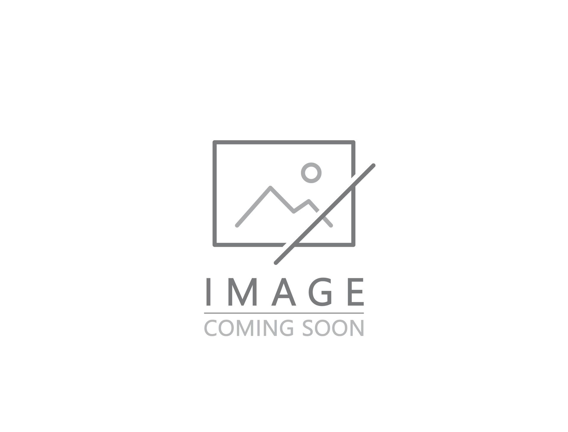 Placeholder graphic with mountain icon and “IMAGE COMING SOON” text