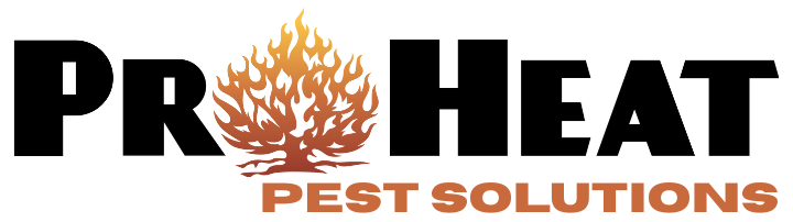 Bud Bug Removal Near Me