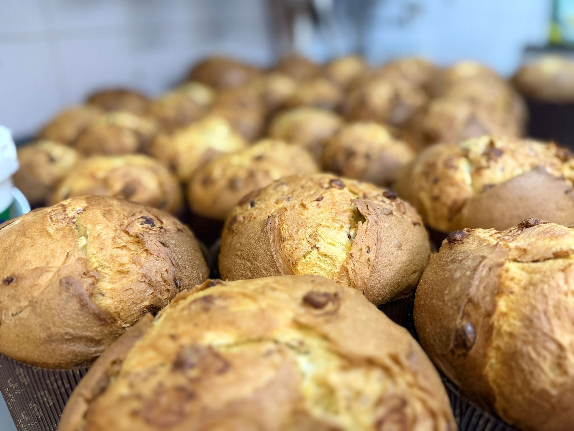 pasticceria nicolo