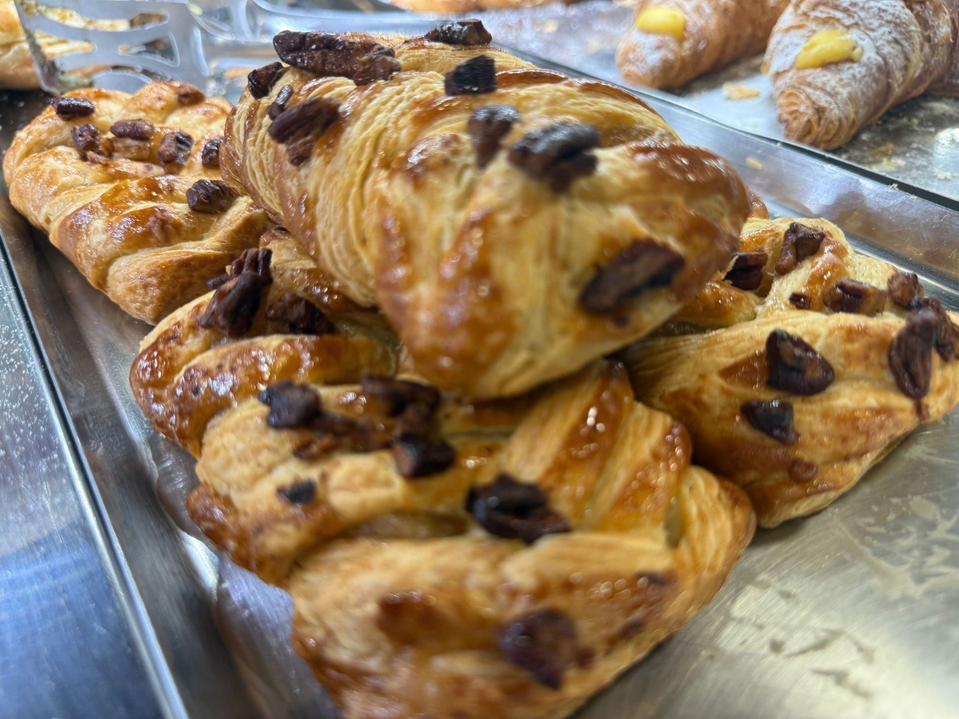 nicolo pasticceria