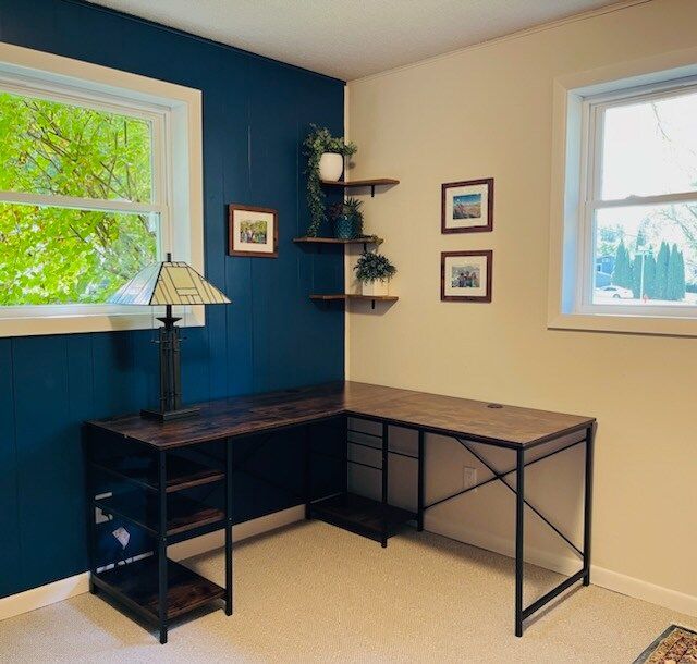 L-shaped desk in a room with a navy blue accent wall, shelves with plants, and windows.