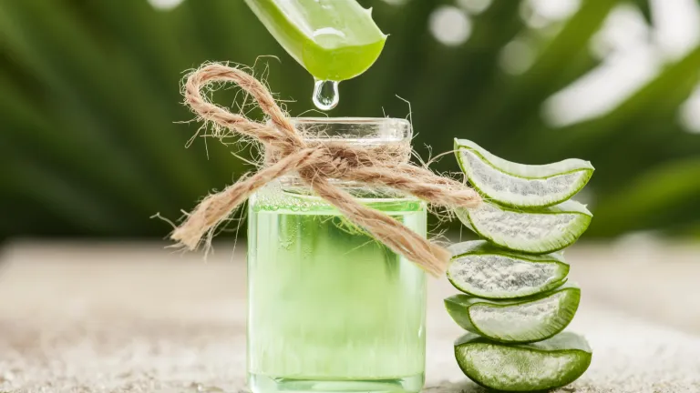 Aloe Vera — Supplements & Organic Produce in Mid North Coast, NSW