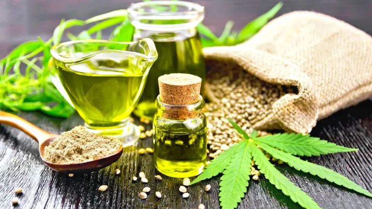 Green Tea — Supplements & Organic Produce in Mid North Coast, NSW
