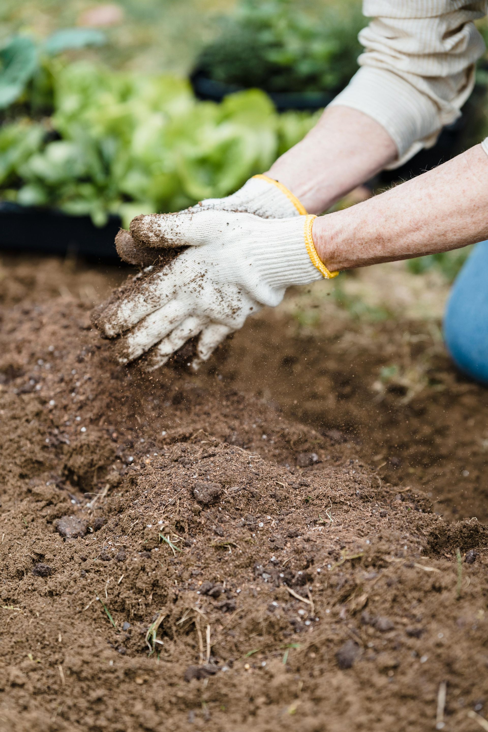 Someone mixing dirt with their hands in the garden 
