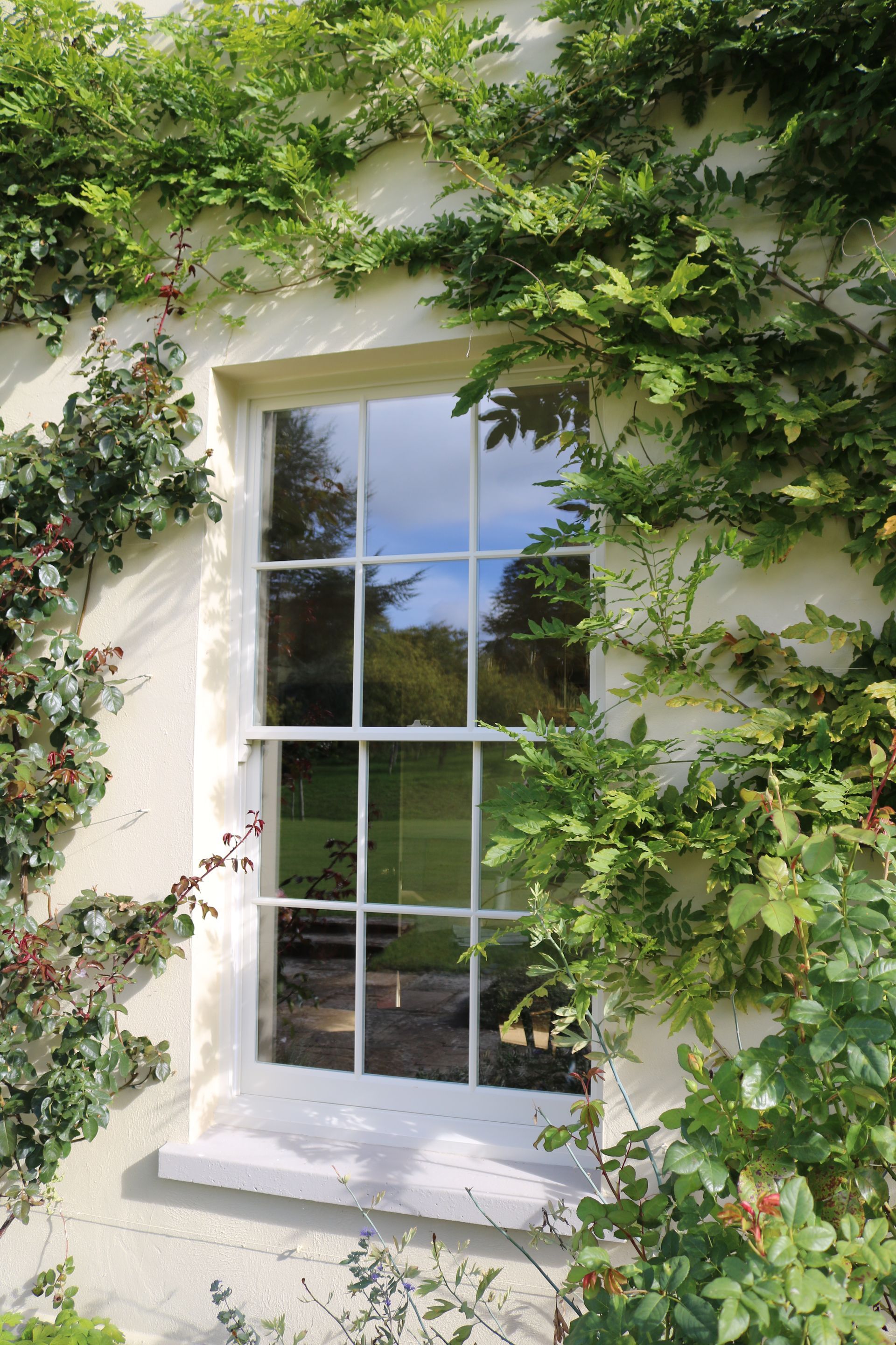 Vintage French doors looking out over the garden