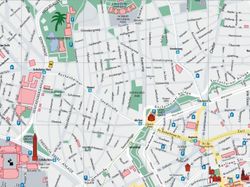 Eine Karte einer Stadt mit einer Palme in der Mitte