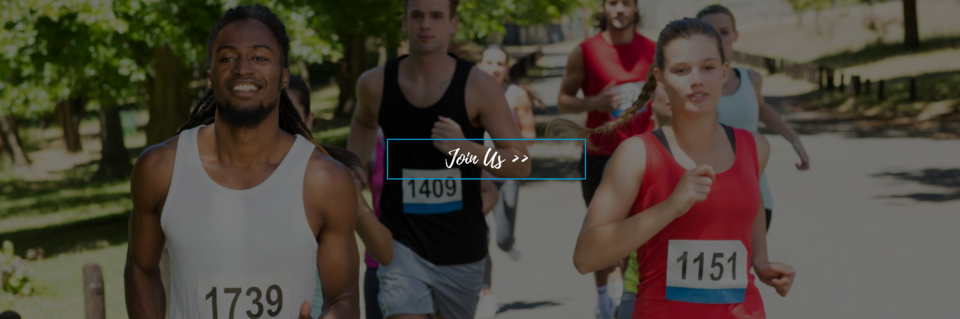 Runners in a road race, including bib numbers 1739 and 1151, moving through a tree-lined park path