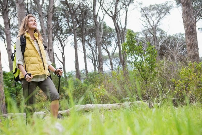 Hiker in a yellow vest standing in a grassy forest clearing, looking upward.