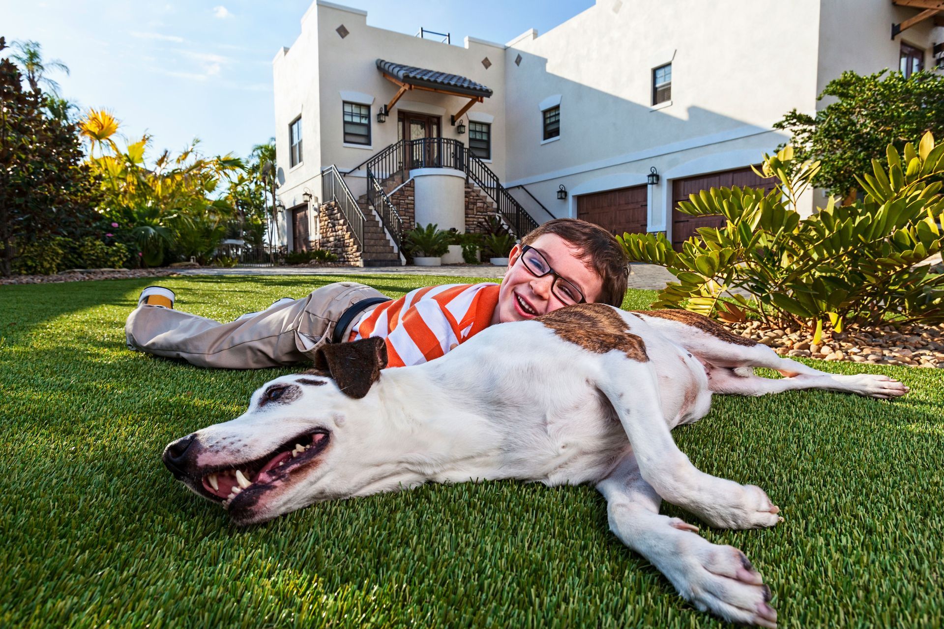 Boy and His Dog playing after the turf been cleaned with Artificial Turf Pet Cleaner in Las Vegas, NV by Xanders Services