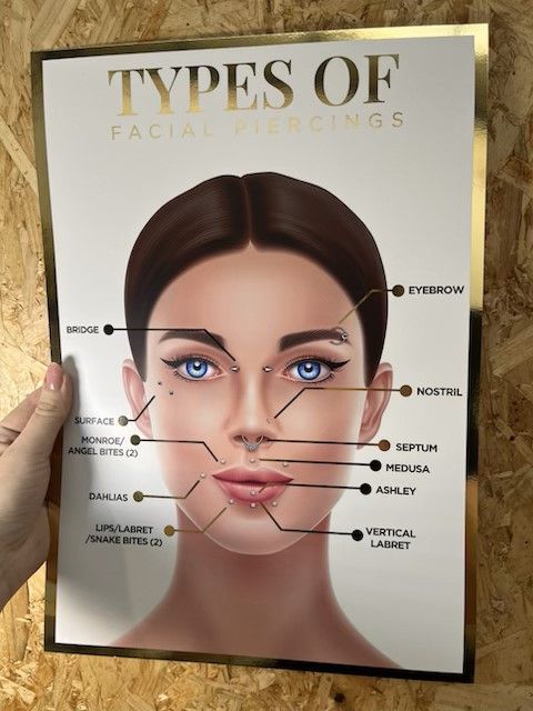 A3 Foiled Types of Facial Piercings