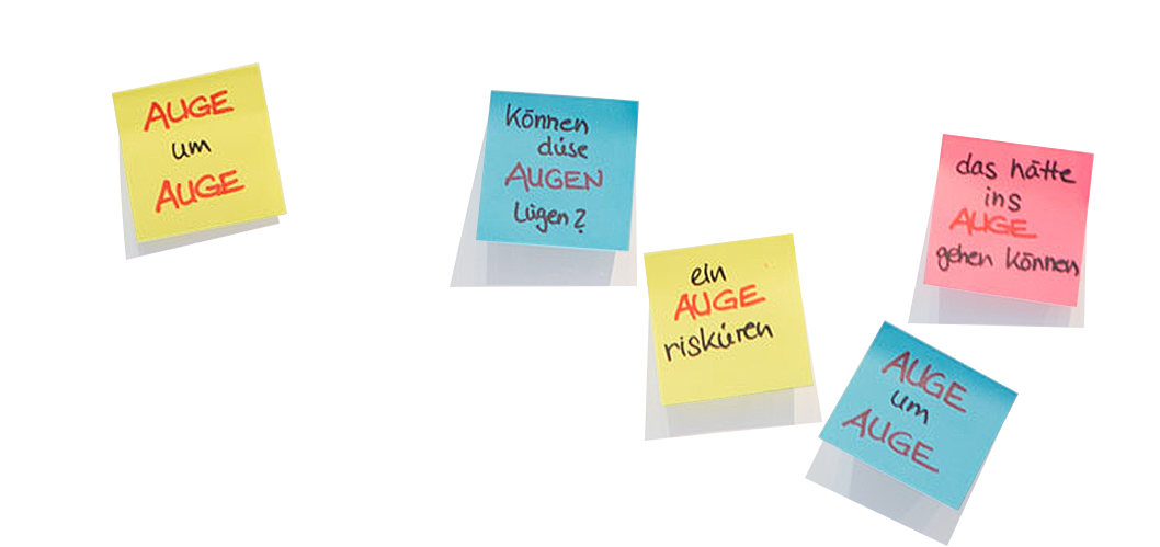 Innovationen bei Wittel Optik