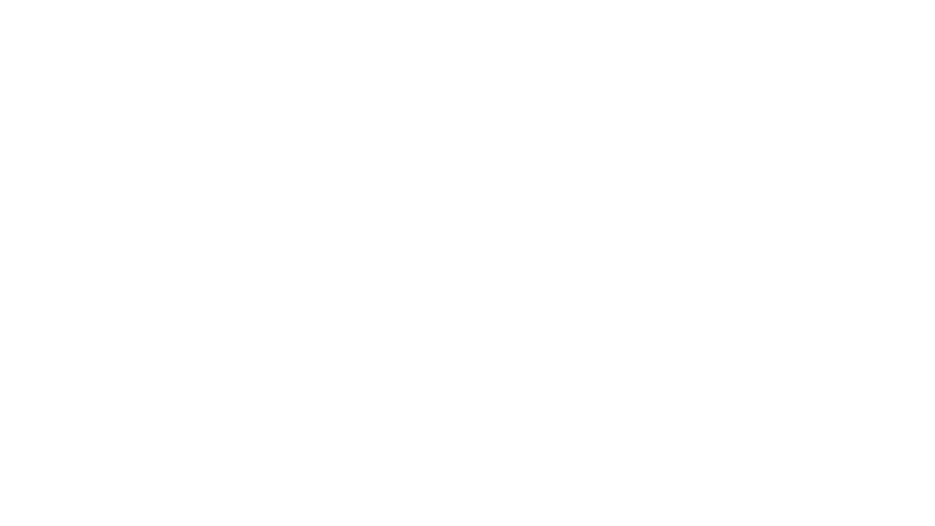 Don't Touch the Poo Sanidoo Pooper Scooper (Seen On QVC)