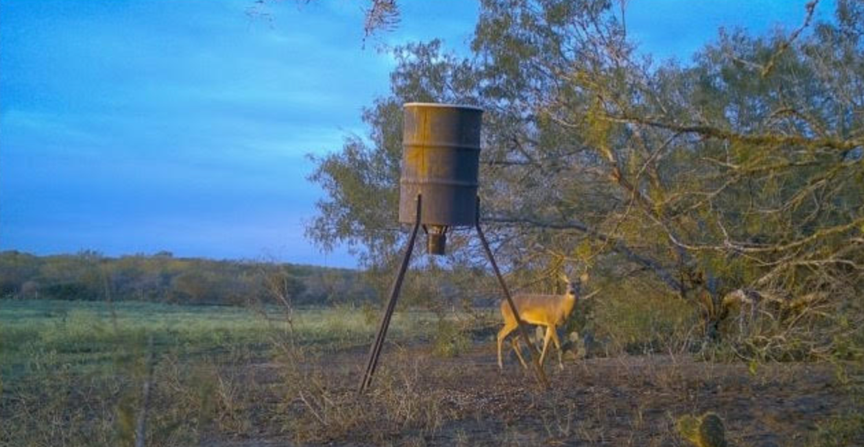 Gallery Nancy's RV Park Kenedy, TX