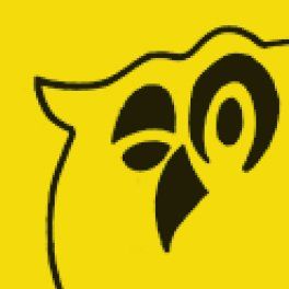 Yellow owl head with black facial details, looking right.