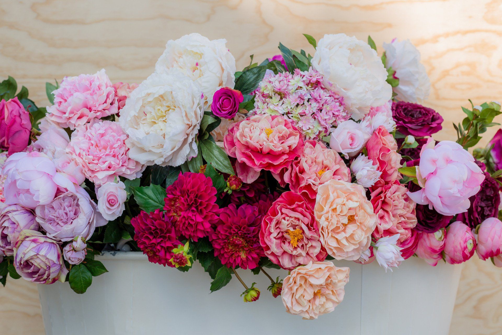 Darwin florist's seasonal selection, offering a glimpse into the art of floristry.