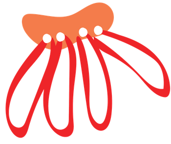 Iconic bloom symbol, representing Darwin's rich floral diversity.