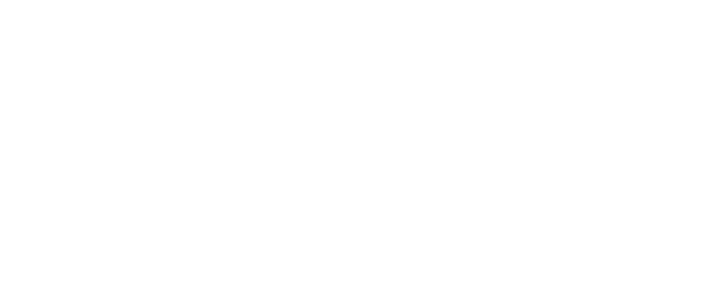 Wiesemann IT - Wir leben IT