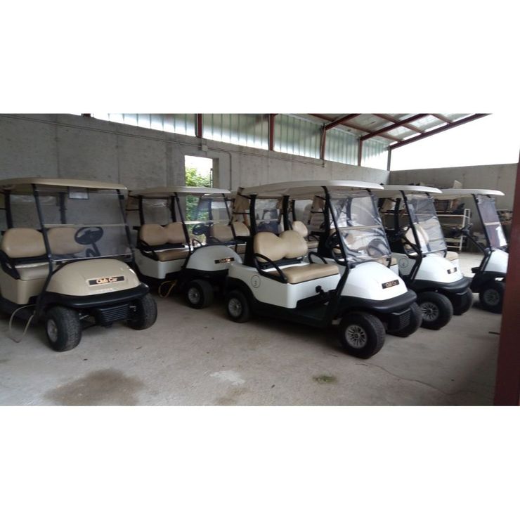 Modelli di CLUB CAR PRECEDENT 48V