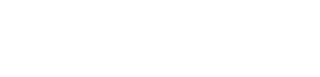 PEDROTTI TIZIANO VEICOLI ELETTRICI-LOGO