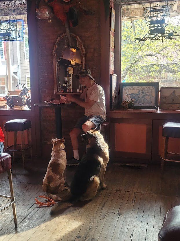 A man sits at a bar with two dogs
