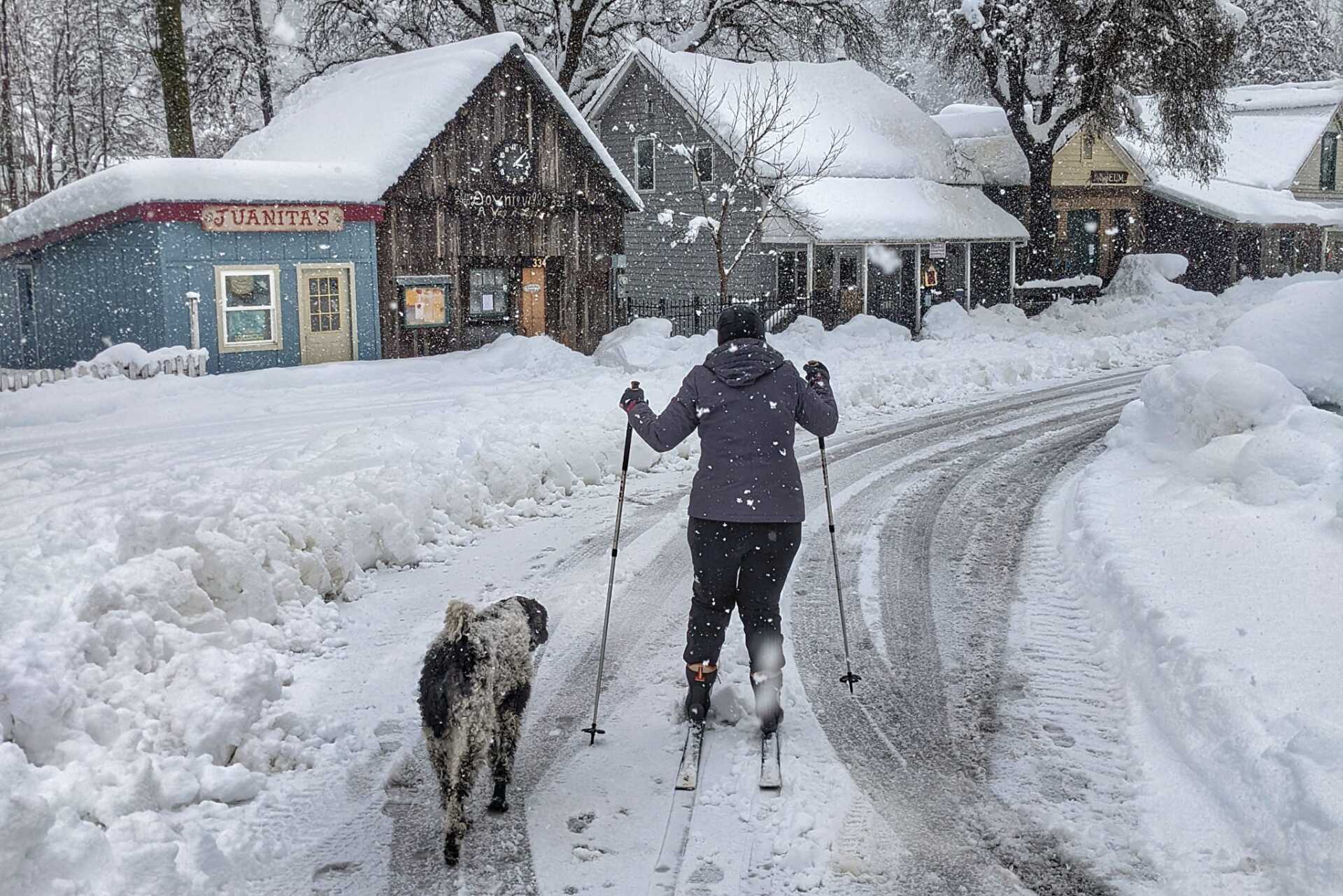 A person skiing down a snowy road with a dog