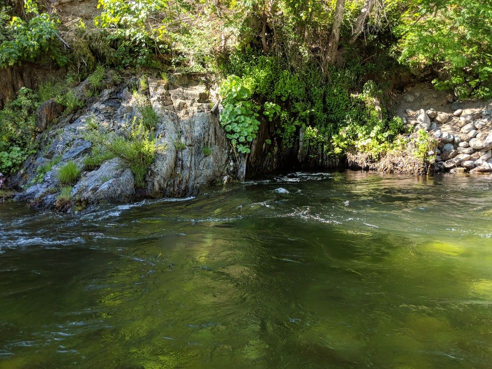 A river flowing through a lush green forest surrounded by rocks and trees.