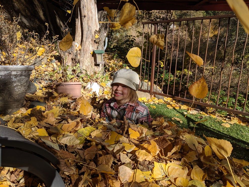 A little girl is laying in a pile of leaves