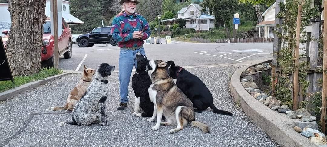 A man is standing next to a group of dogs on a sidewalk.