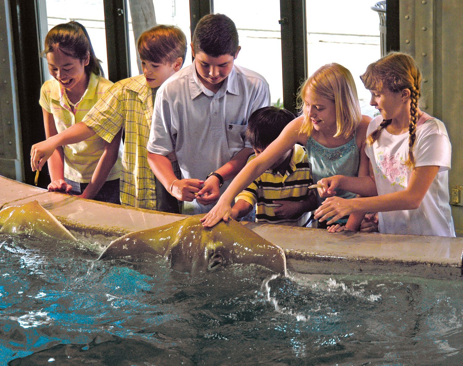 friday family night aquarium meals