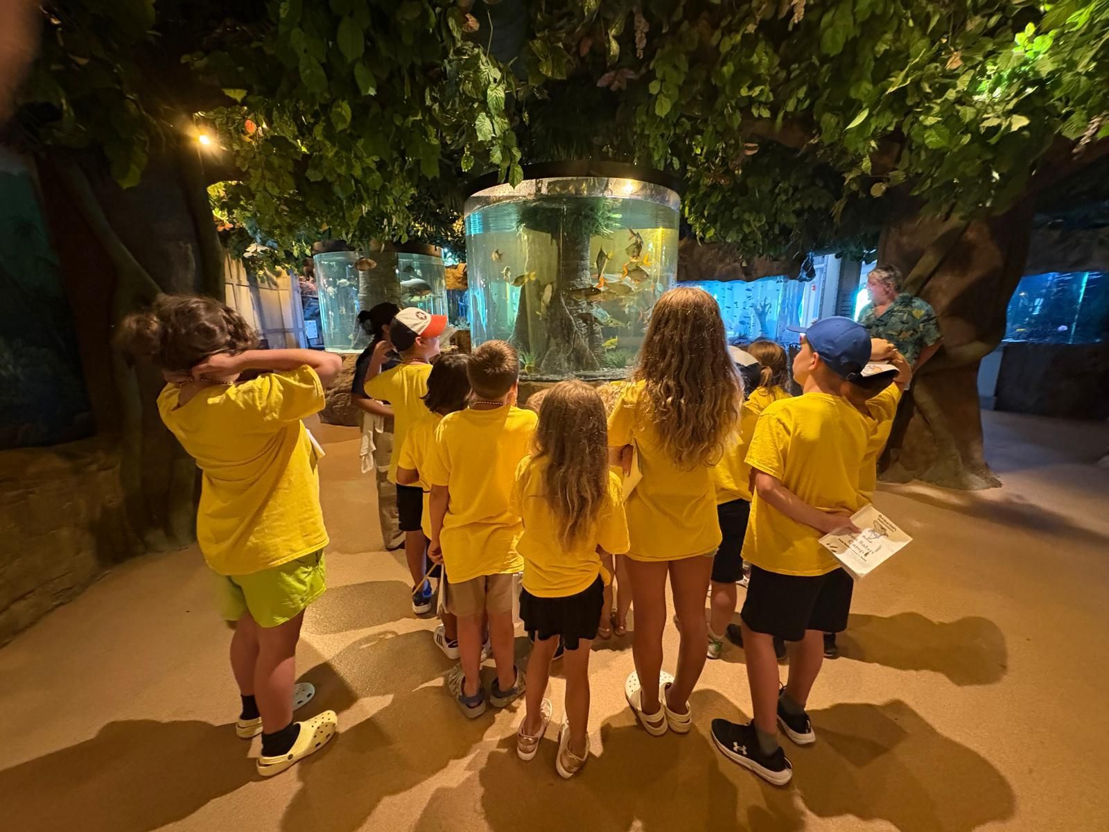 Children in yellow shirts observe a fish tank, illuminated, under a tree-like structure, inside.