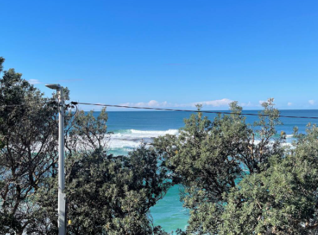 A view of the ocean from a balcony with trees in the foreground.
