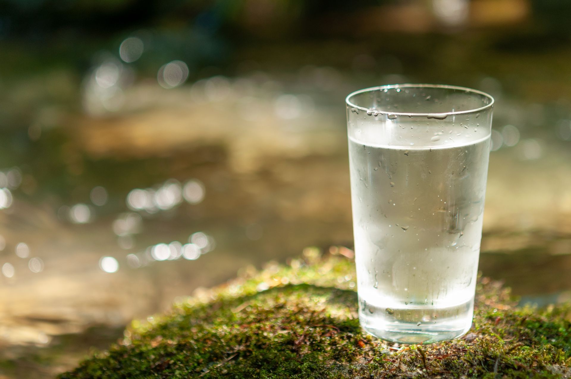Natural water in a glass by the side of a river Natural water in a glass by the side of a river