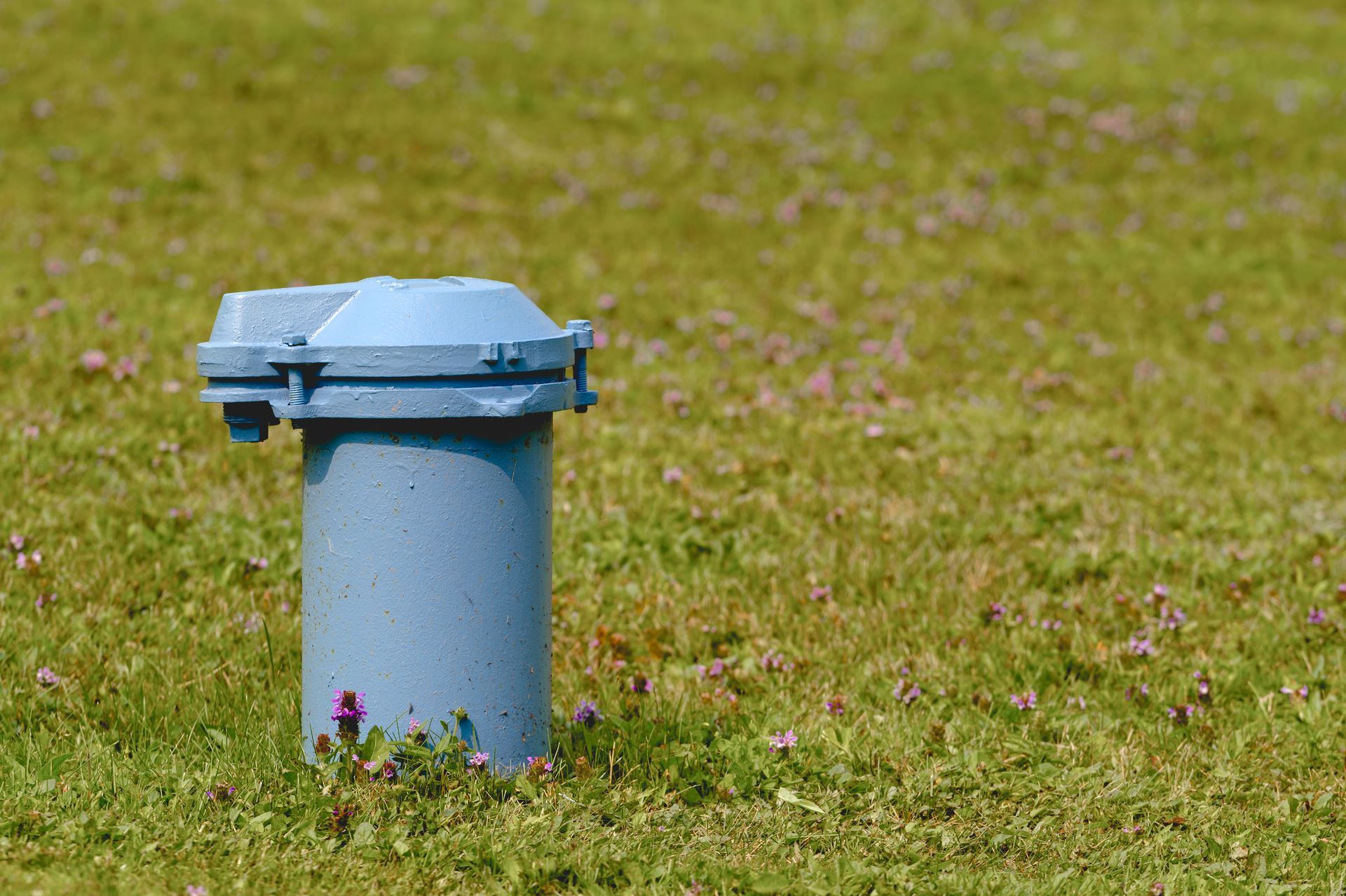Blue water well in a grassy field with purple wildflowers.