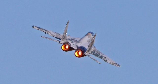 Freewing MiG-29 Twin 80mm EDF Assembly & Flight Review