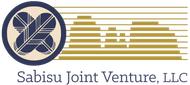 Sabisu Joint Venture, LLC logo