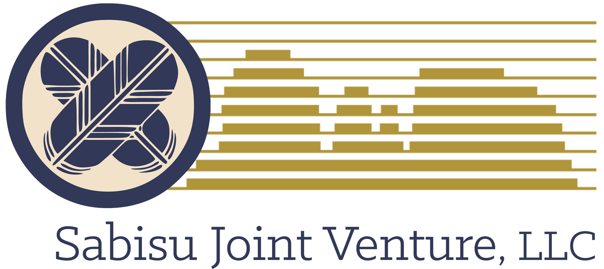 Sabisu Joint Venture, LLC logo