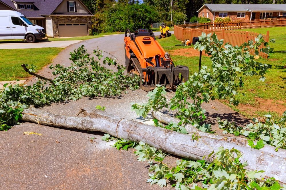 Orange skid steer removing a fallen tree from a driveway, next to a house.