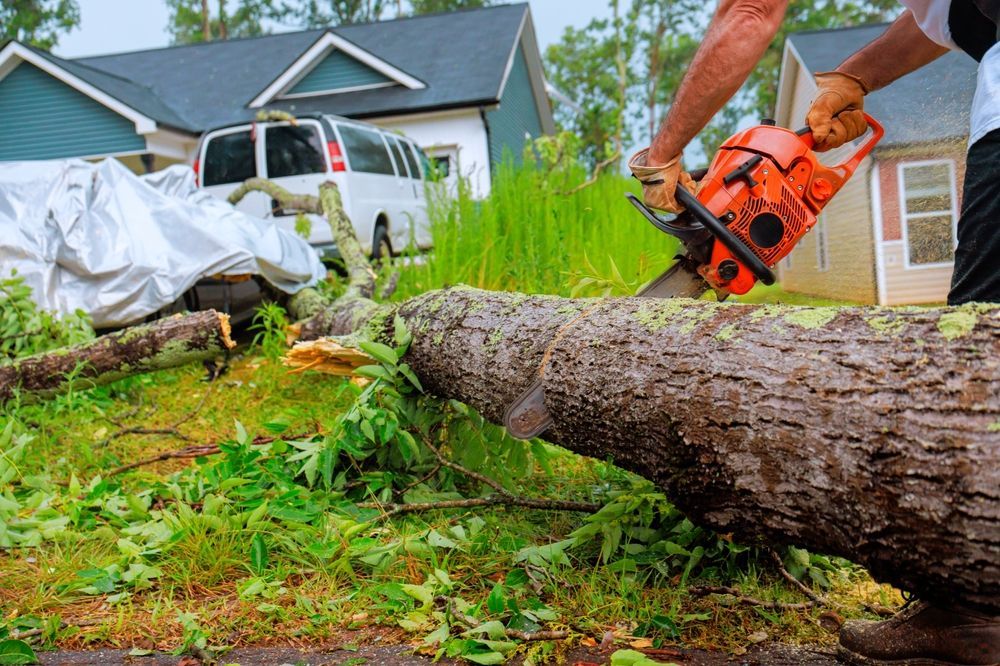 Person using a chainsaw to cut a fallen tree trunk in front of houses; green grass and debris are scattered around.