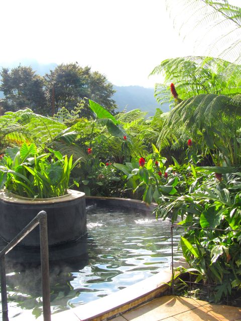 Poza termal rodeada de vegetación tropical en Termales El Otoño, una experiencia de aguas termales en Manizales.