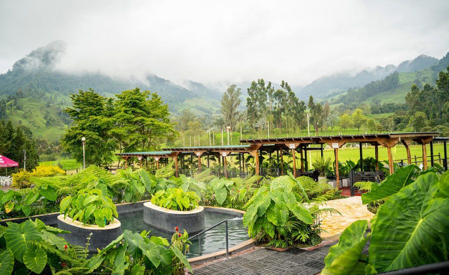 Thermal pool in Manizales surrounded by gardens and mountain views at Termales El Otoño, a hot springs hotel in Colombia.
