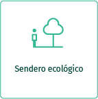 Ícono de sendero con árbol que representa una experiencia de naturaleza en Termales El Otoño, cerca de Manizales